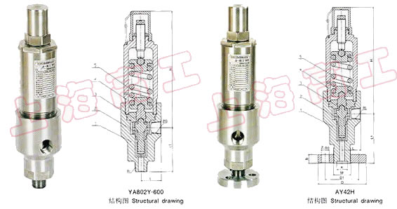 A61H A61Y 安全益流閥