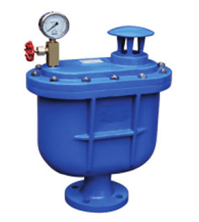 CARX復(fù)合式排氣閥