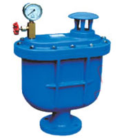 CARX 復(fù)合式排氣閥