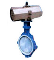 DD71FS DD371FS 填料式可調(diào)襯氟塑料蝶閥