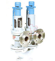 AHN42F-P18 雙聯(lián)彈簧式安全閥