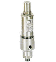 A61H A61Y 安全益流閥