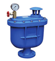 CARX復(fù)合式排氣閥